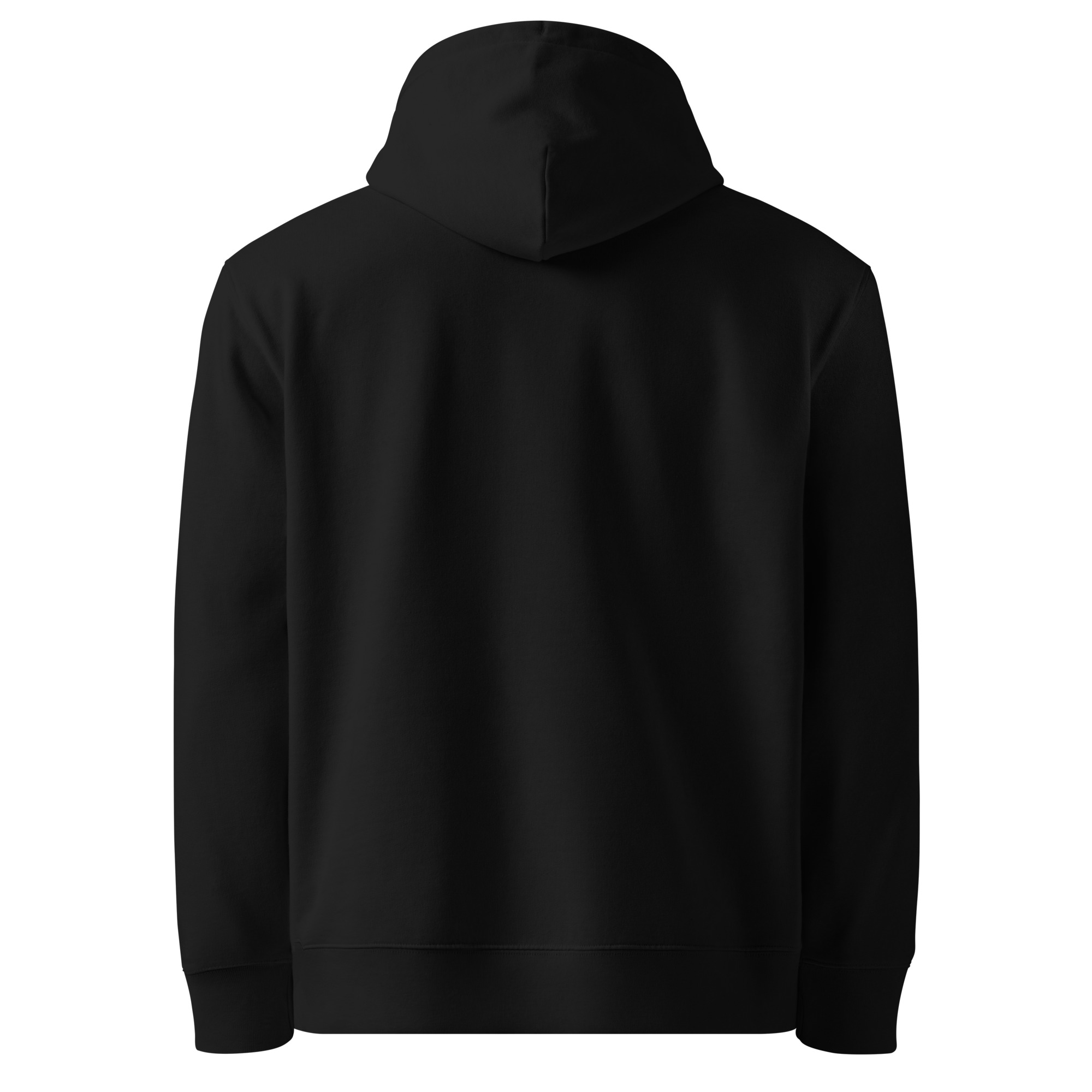 Sweat capuche Divisés, ils règnent – ​​Écologique et unisexe